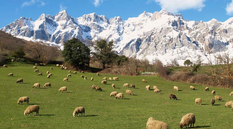 Montes de Picos de Europa