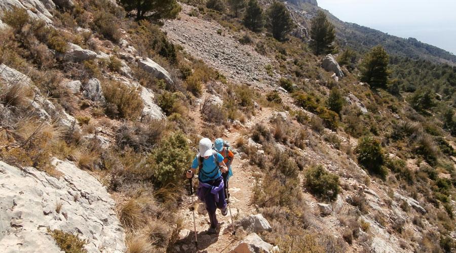 Montes de Alicante